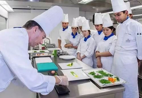 瑞士酒店管理专业大学排名概览 追求卓越的学术殿堂